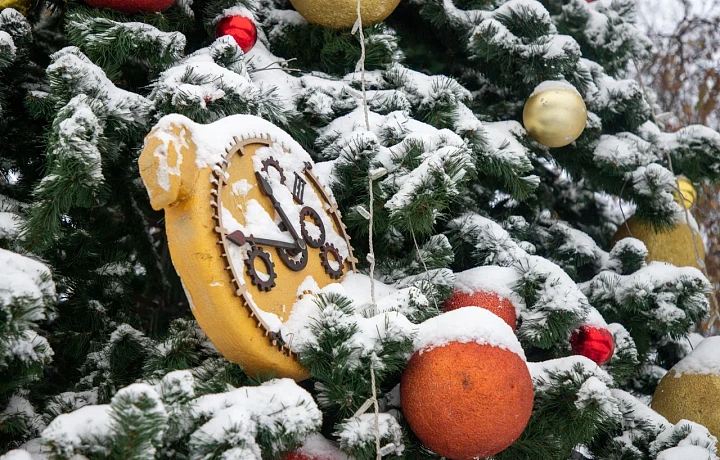 Елка желаний: как детям из Тульской области принять участие и что  дарят депутаты, бизнесмены и чиновники?