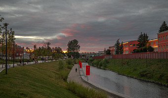 Небольшой дождь и 20-градусное тепло ожидаются в Туле во вторник, 19 августа