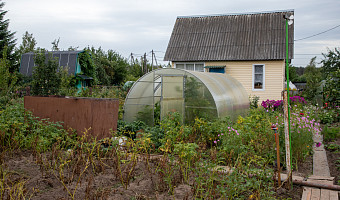 Тулякам рассказали, нужно ли регистрировать право на теплицу на дачном участке
