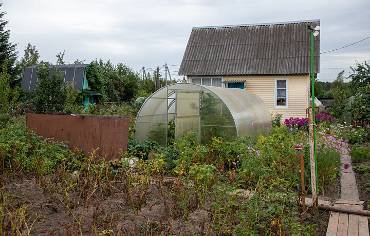 Тулякам рассказали, нужно ли регистрировать право на теплицу на дачном участке