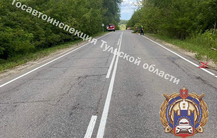 Двое детей попали в больницу после столкновения Hyundai и Renault в Одоевском районе