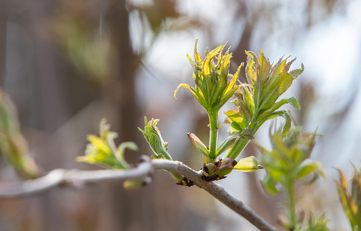 12 апреля: какой сегодня праздник, этот день в истории России и Тульской области