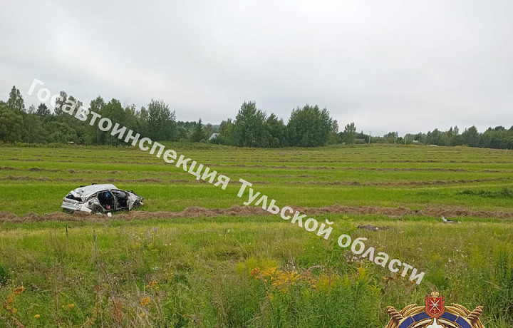 В Дубенском районе водитель иномарки устроил ДТП ради обгона и погиб