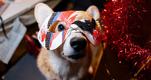 Новогодний музыкальный фестиваль пройдет с 31 декабря по 11 января в арт-кэмпе «Дикая Мята»