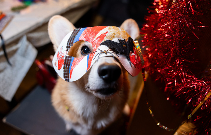 Новогодний музыкальный фестиваль пройдет с 31 декабря по 11 января в арт-кэмпе «Дикая Мята»