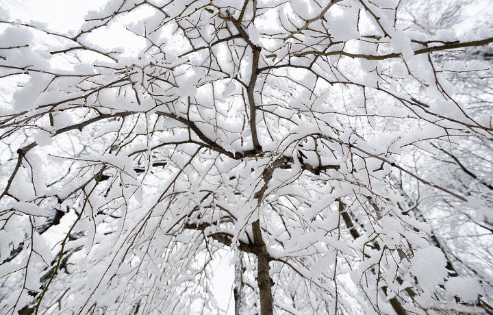 В Туле спрогнозировали теплую погоду и снегопады в феврале
