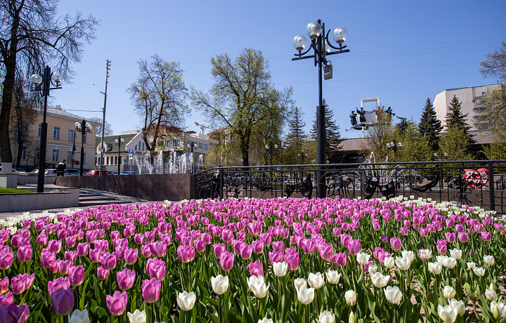 В Туле вновь потеплеет до +24 градусов в четверг, 5 июня