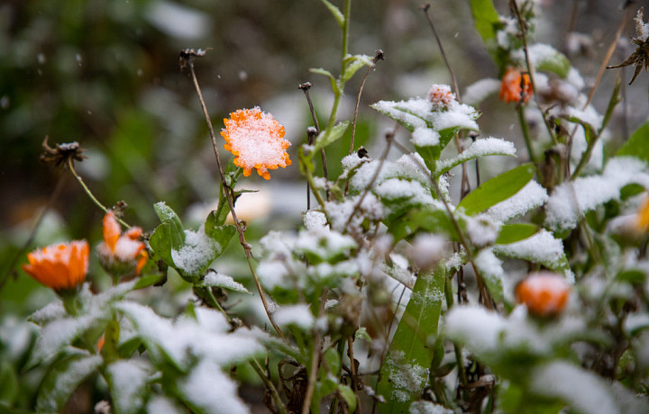 Страшный ноябрь 2023: календарь череды магнитных бурь на конец осени