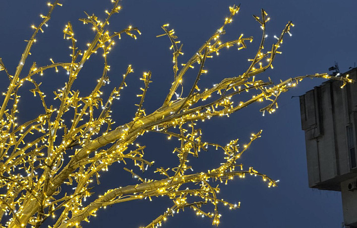 Маркетолог назвал продукты, которые обычно дорожают перед Новым годом