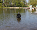 Водолазы обследовали дно центрального пруда в парке имени Белоусова в Туле