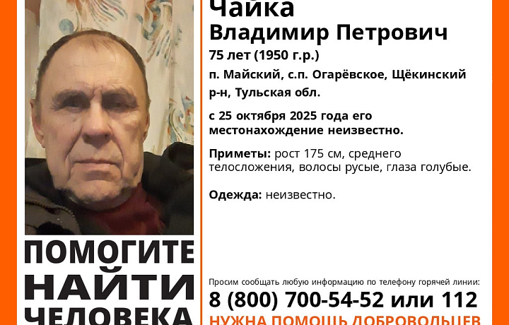 В Щекинском районе волонтеры месяц ищут пропавшего 75-летнего пенсионера