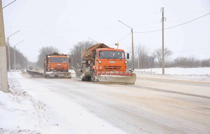 Метель накрыла Тульскую область: высота снежного покрова в Алексине достигла 48 сантиметров