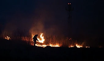 На поджигателей травы в Тульской области составлено более 350 административных протоколов
