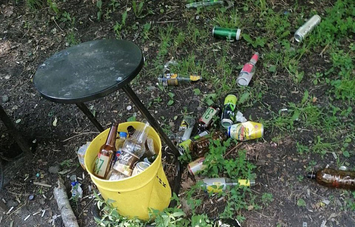 Вандалы уничтожили урны для мусора в парке в Новомосковске