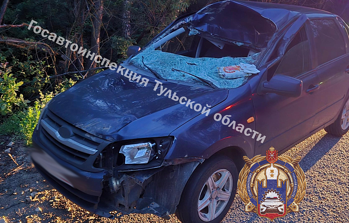 Водитель Lada Granta сбил лося в Заокском районе