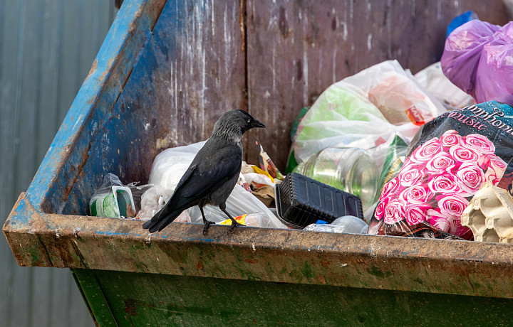 Обустройство мест для ТКО в Туле обойдется в 3,9 миллионов рублей