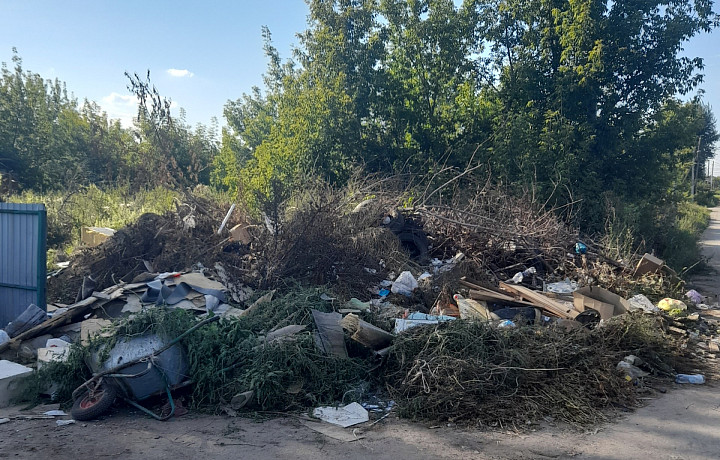 Прокуратура в Донском выявила несанкционированную свалку на улице Совхозной