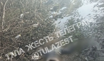 В Туле найден труп мужчины