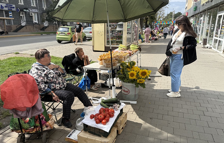 Золотые горы за яблоки: туляки рассказали, сколько можно заработать на продаже урожая