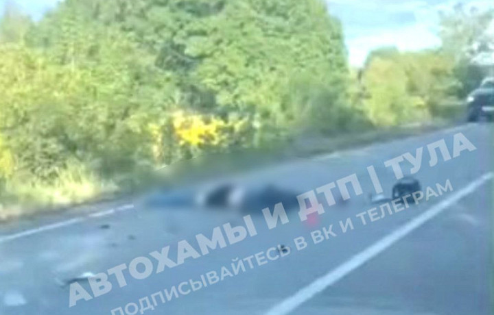 ﻿Очевидцы: в Киреевском районе насмерть сбили мотоциклиста