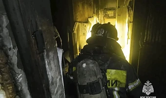 При пожаре на улице Арматурной в Алексине погиб человек
