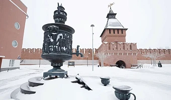 Туляков ждёт малооблачная погода с небольшим снегом 21 февраля