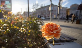 Жителям 809 тульских населенных пунктов положены чернобыльские льготы: список мер поддержки