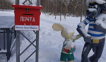 В Комсомольском и Пролетарском парках Тулы установили ящики Почты Деда Мороза
