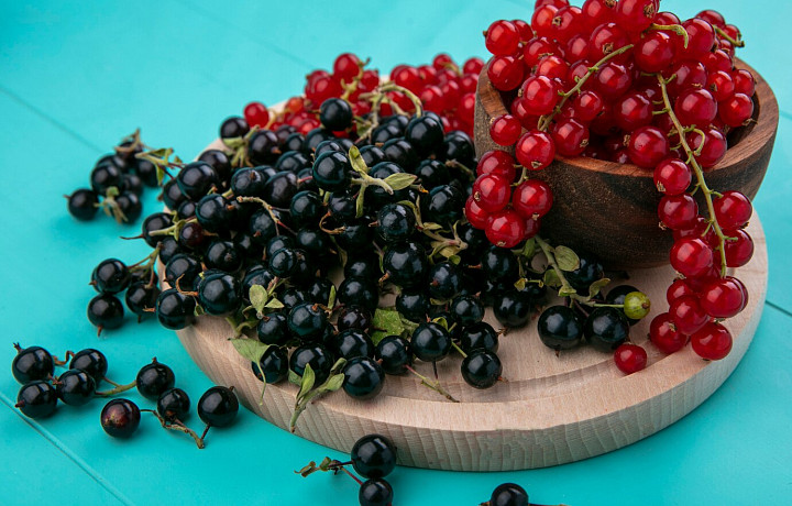Слива, вишня и малина: с чем не стоит сажать смородину