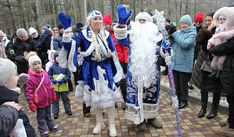 Резиденция Деда Мороза открылась в Центральном парке Тулы 20 декабря