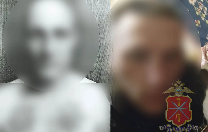 В Туле задержали подозреваемых в кражах из автомобилей