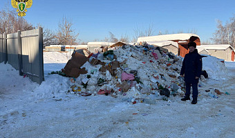 В Донском ликвидировали несанкционированные свалки вблизи жилых домов