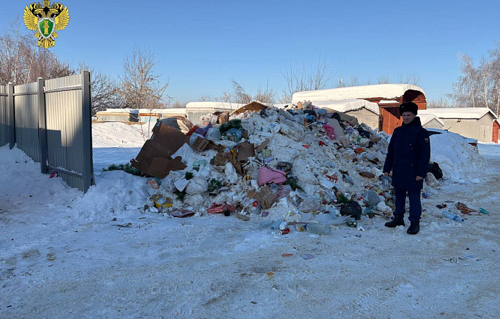 В Донском ликвидировали несанкционированные свалки вблизи жилых домов