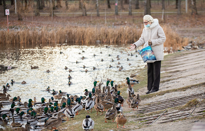 Тульская область заняла второе место по стареющему населению среди регионов России