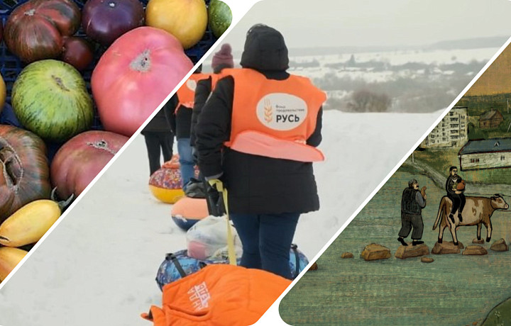 Краудфандинг как локомотив локальных идей: как проекты из Тульской области находят поддержку на Planeta.ru