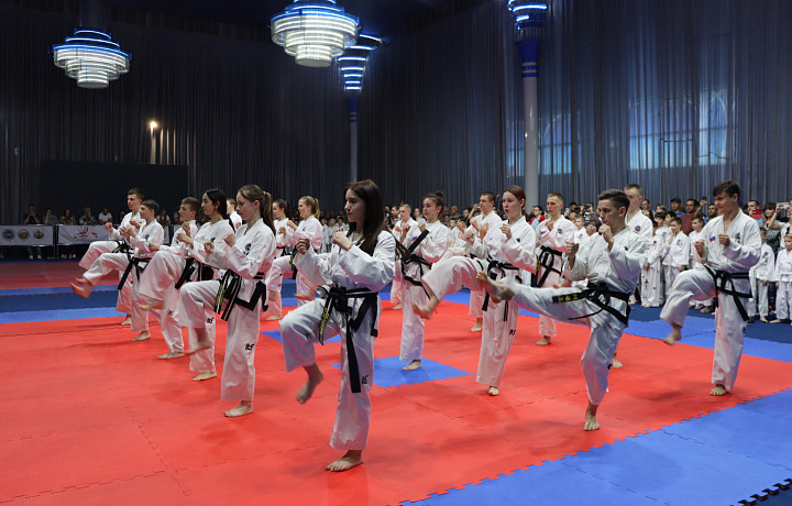 В Туле проходят чемпионат и первенство по тхеквондо