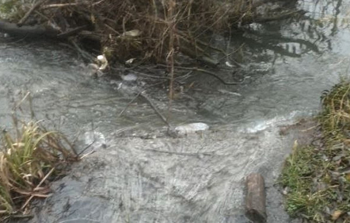 В Ясногорске реку Вашану загрязнили канализационными стоками