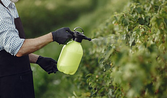 Тульское предприятие оштрафовали за нарушение правил использования пестицидов