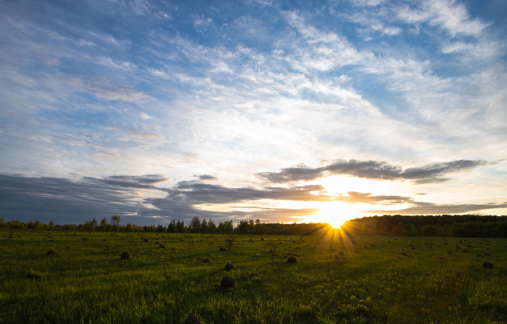 900 зон с особыми условиями использования внесено в ЕГРН в Тульской области с начала года