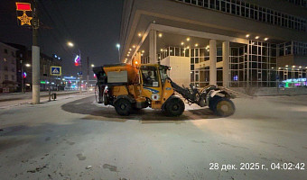 Ночью 28 декабря из центральной части Тулы вывезли около 240 кубометров снега