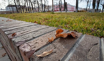 30 сентября в Туле снова ожидается утренний туман и понижение температуры