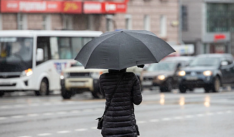 Потепление до +11 градусов и дожди спрогнозировали синоптики в Туле 18 ноября