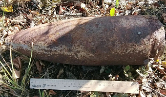 В Щекинском районе обнаружили два боеприпаса времен ВОВ