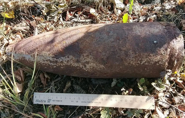 В Щекинском районе обнаружили два боеприпаса времен ВОВ