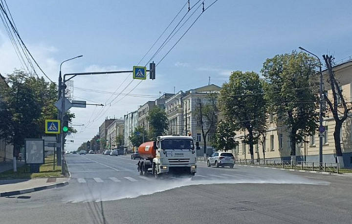 В Туле начали убирать от мусора проспект Ленина