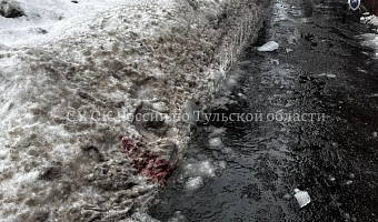 Наледь и снег, разбившие голову подростку в Туле, могли упасть с козырька балкона: кто обязан его чистить?