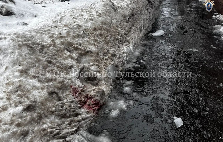 Наледь и снег, разбившие голову подростку в Туле, могли упасть с козырька балкона: кто обязан его чистить?