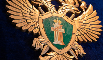 В Алексине снесли незаконные постройки в лесу после вмешательства прокуратуры