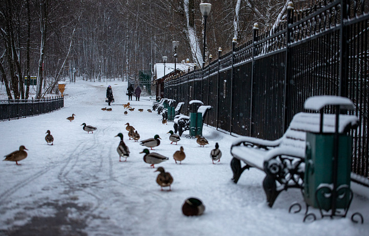 15 декабря: какой сегодня праздник, этот день в истории России и Тульской области
