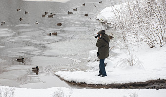 Пасмурная погода без осадков будет в Туле и области 26 февраля